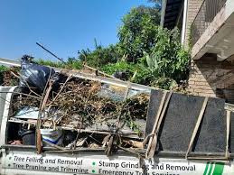 Professional Junk Removal Services in Summersville, WV